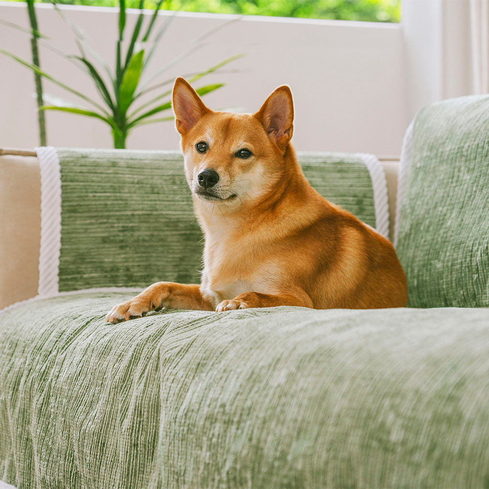 All-Season Anti-Slip Striped Pet Rug Furniture Protector with Armrest Sofa Cover - Keep Still