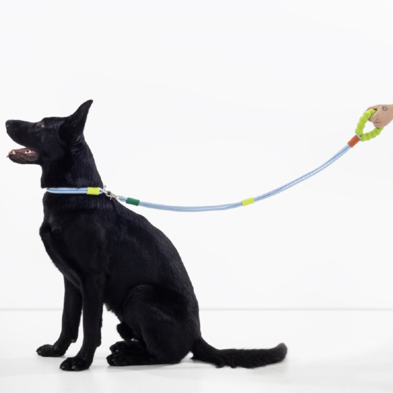Cotton Candy Dual-Section Braided Dog Walking Lead