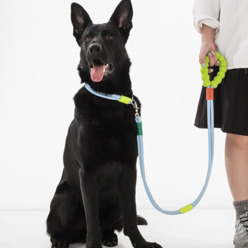 Cotton Candy Dual-Section Braided Dog Walking Lead