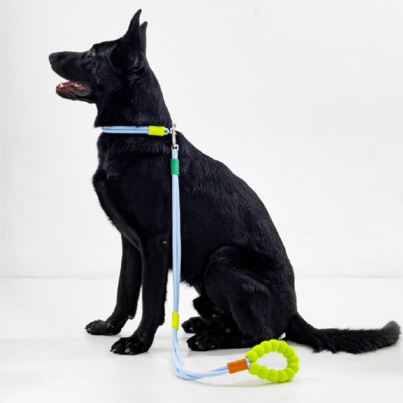 Cotton Candy Dual-Section Braided Dog Walking Lead
