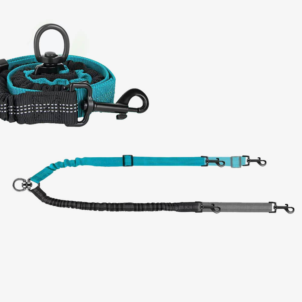 No-Tangle Shock Absorbing Double Lead Dog Lead