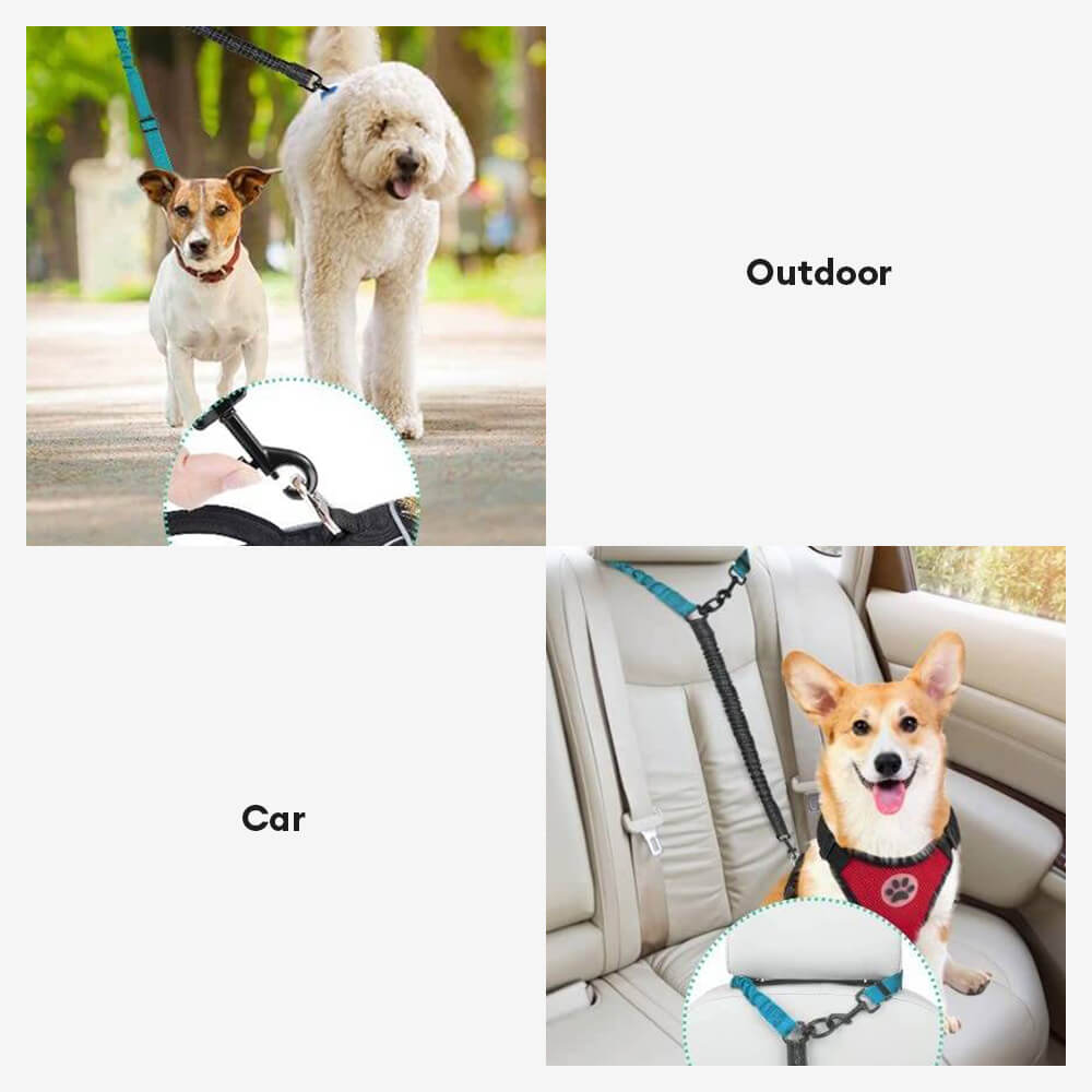 No-Tangle Shock Absorbing Double Lead Dog Lead
