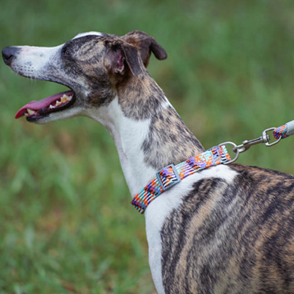 Reflective Weave Adjustable Anti Pull Dog Collar and Lead