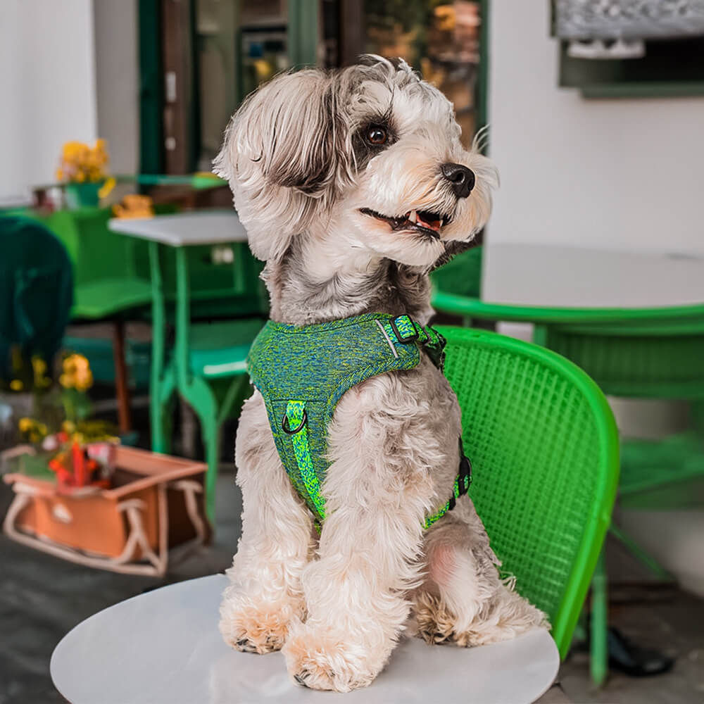 Eco-friendly Recycled Fabric No-Pull Dog Harness/Lead