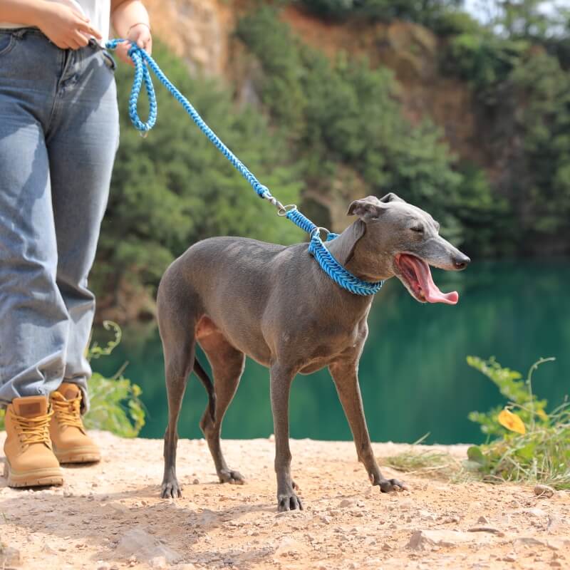 Handmade Anti-Pull Luminous Large Dog Collar and Lead