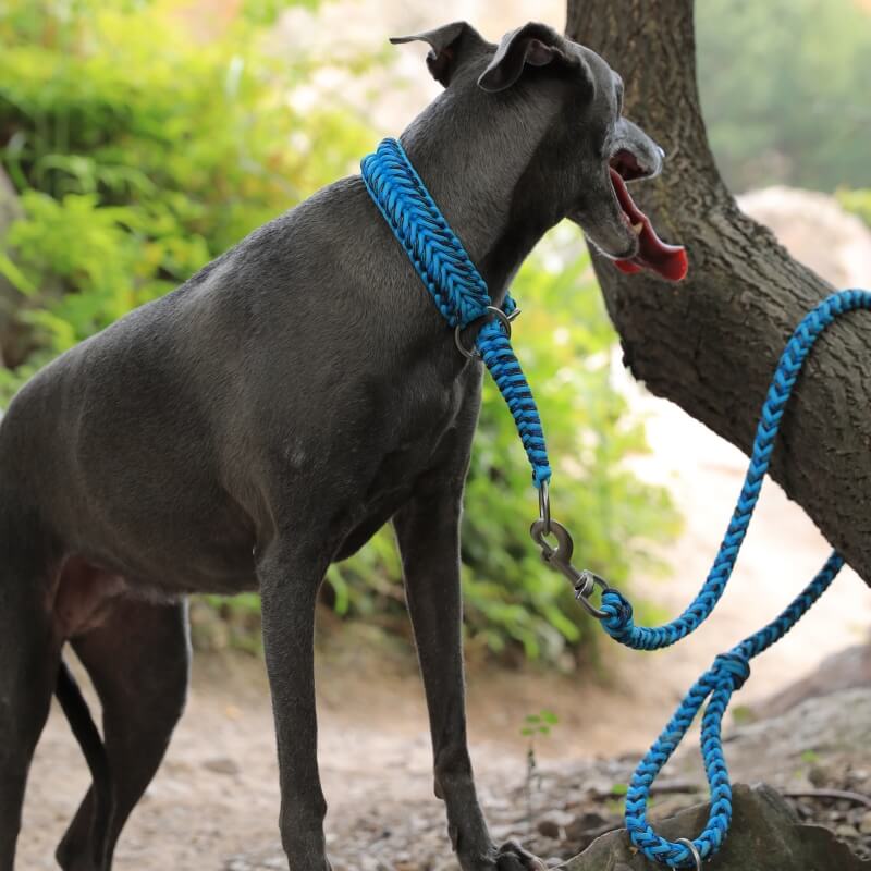 Handmade Anti-Pull Luminous Large Dog Collar and Lead