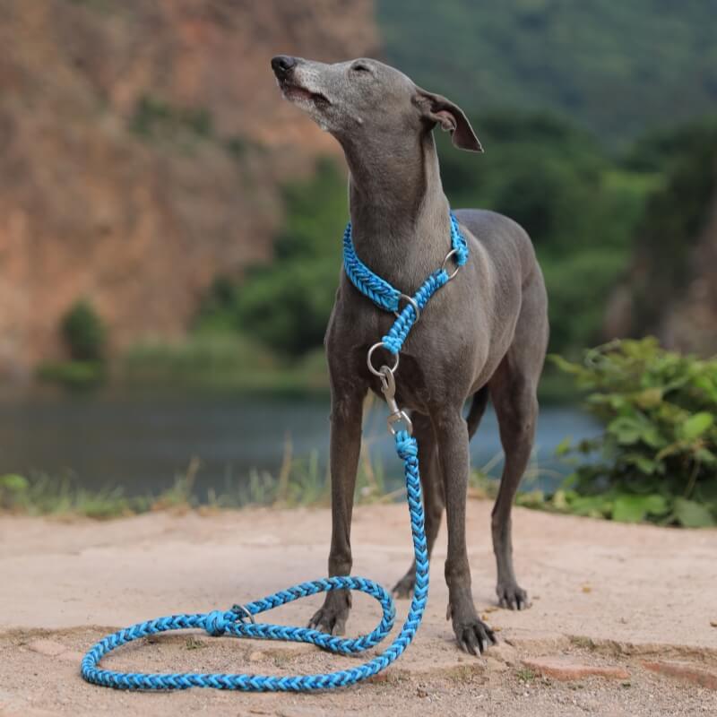 Handmade Anti-Pull Luminous Large Dog Collar and Lead