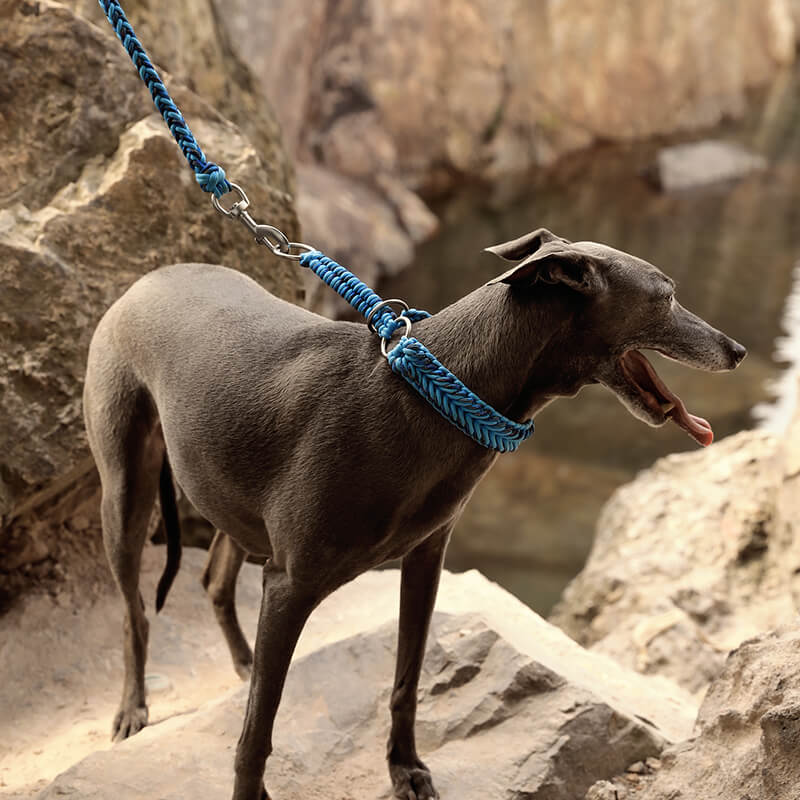 Handmade Anti-Pull Luminous Large Dog Collar and Lead