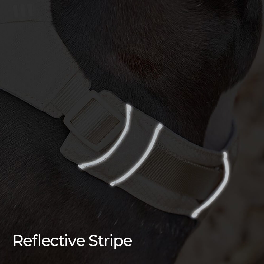 Lightweight Waterproof Breathable Anti-Pull Dog Harness or Multifunctional Lead