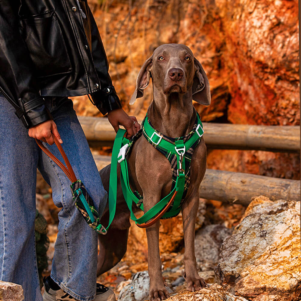 Secure Anti-Pull Large Dog Harness and Lead Walking Set with Walk Bag