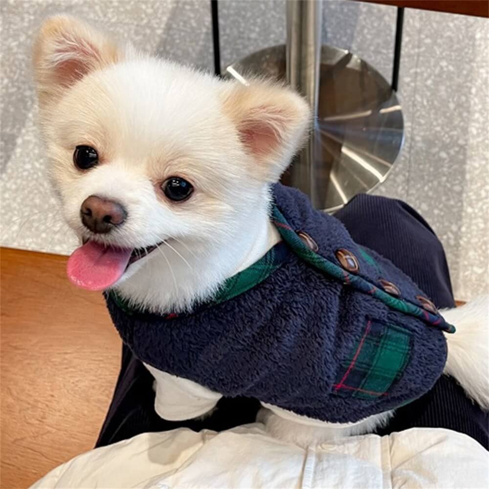 Plaid Winter Dog Jacket with Scarf – Festive and Cosy for the Holidays