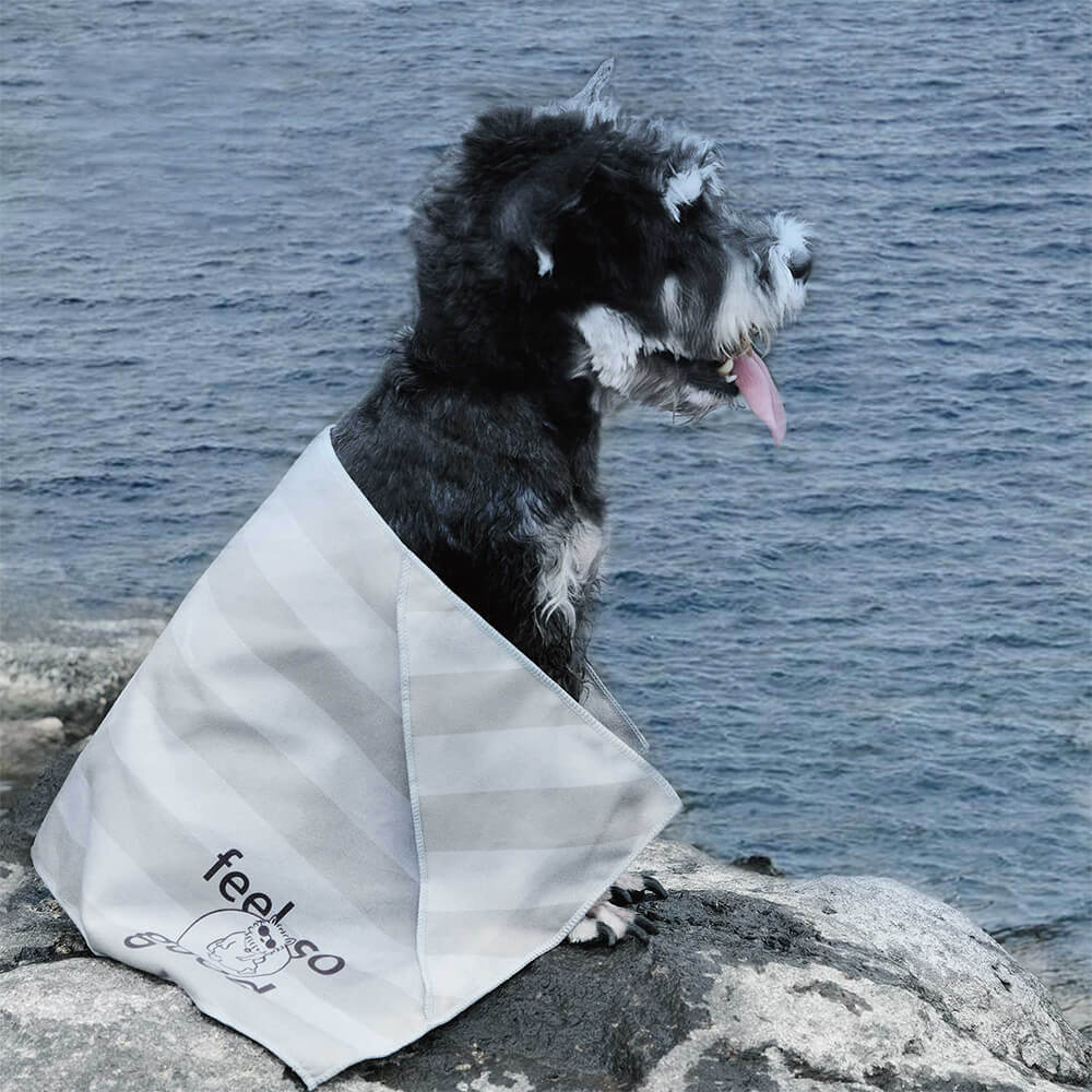 Ultra-Absorbent Lightweight Quick-Dry Travel Dog Towel Blanket