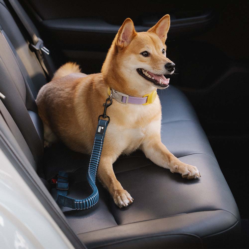 Buffer Adjustable Dog Car Seat Belt