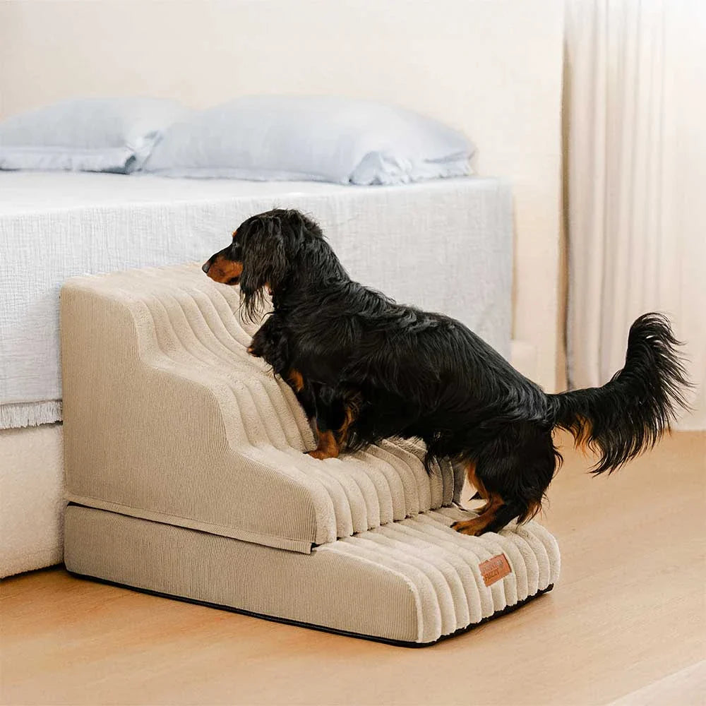 2 in 1 Fluffy Plush Sponge Detachable Pet Step＆Bed - CreamyRamp