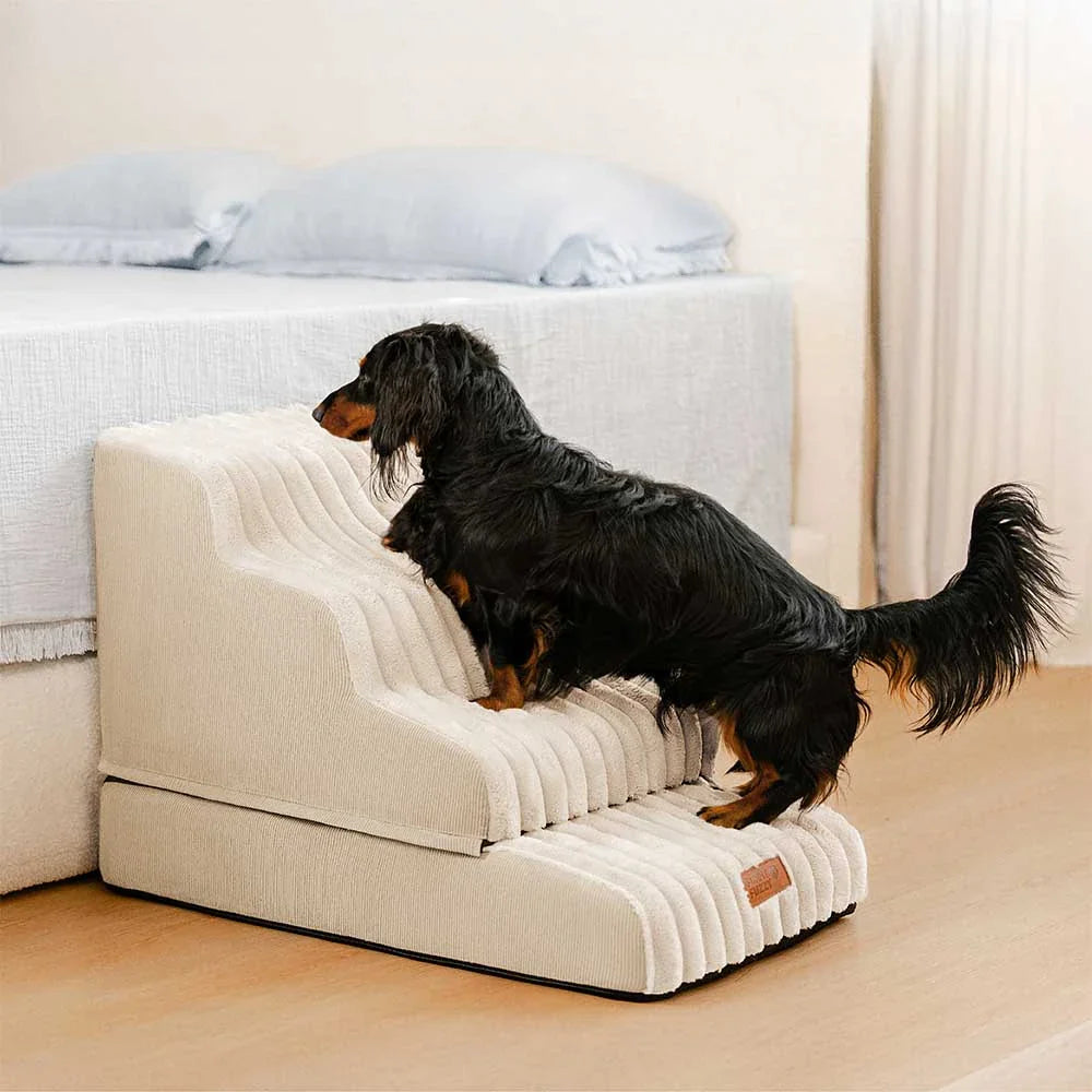 2 in 1 Fluffy Plush Sponge Detachable Pet Step＆Bed - CreamyRamp
