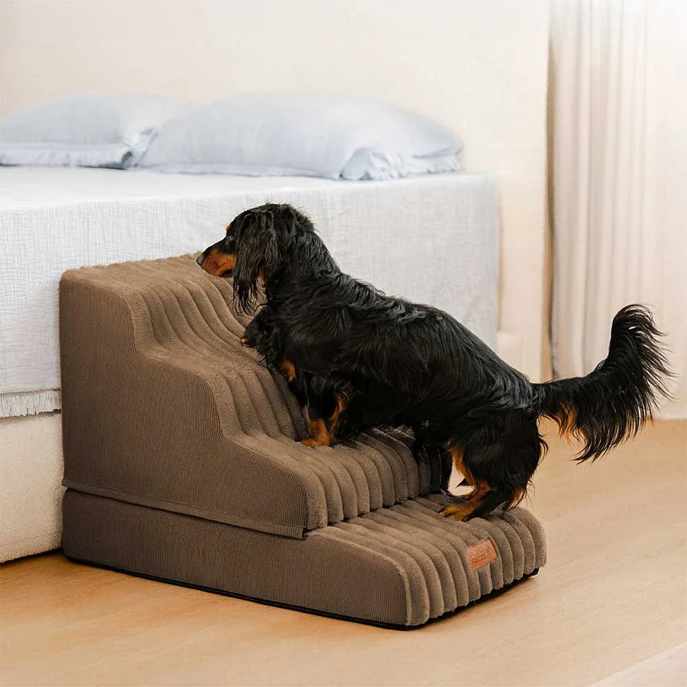 2 in 1 Fluffy Plush Sponge Detachable Pet Step＆Bed - CreamyRamp