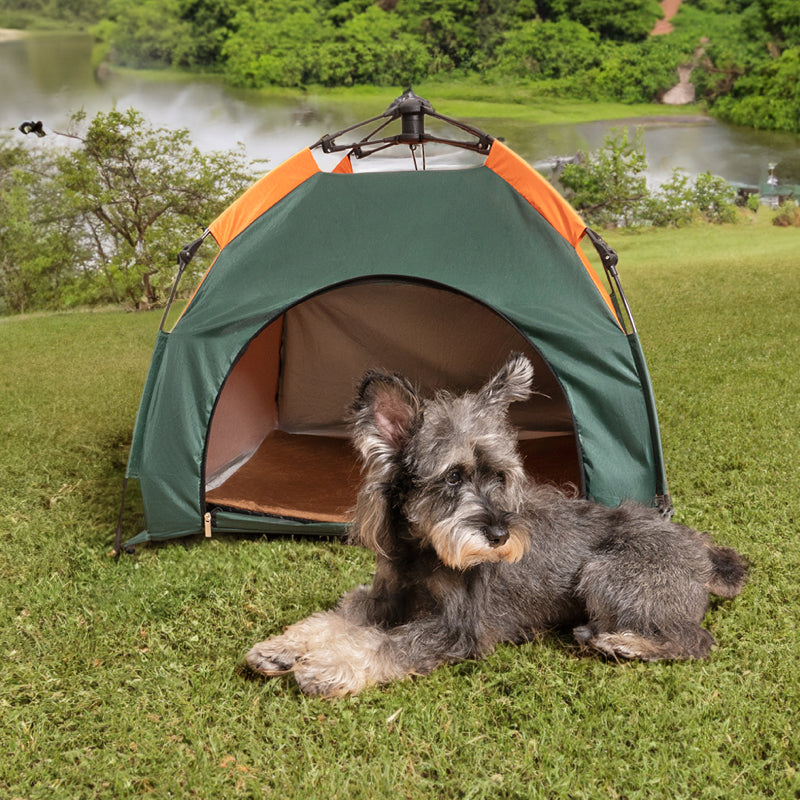 Tenda pieghevole per cani e gatti da campeggio portatile all'aperto