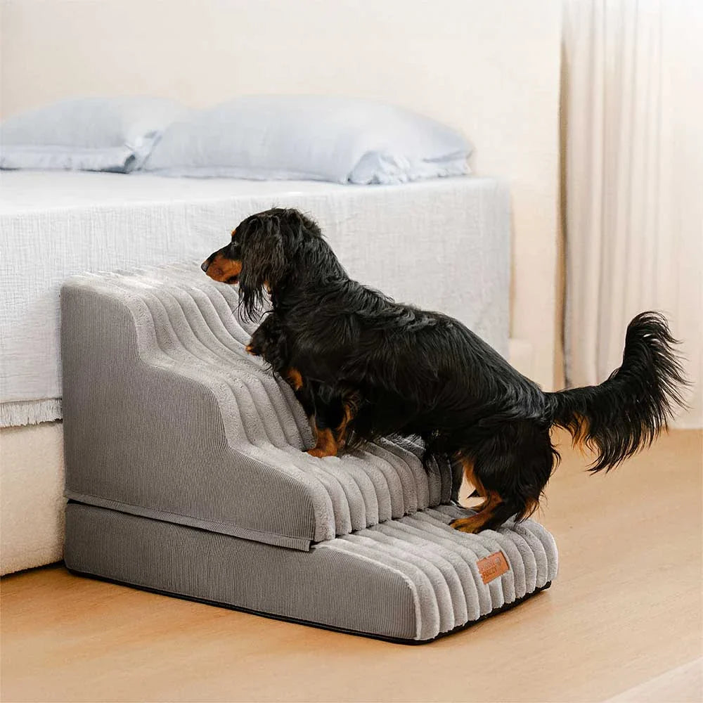 2 in 1 Fluffy Plush Sponge Detachable Pet Step＆Bed - CreamyRamp