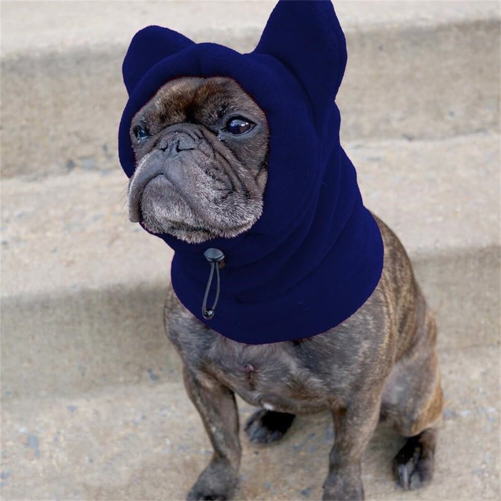 Fleece Dog Hood with Bear Ears – Fun and Cosy Winter Headwear