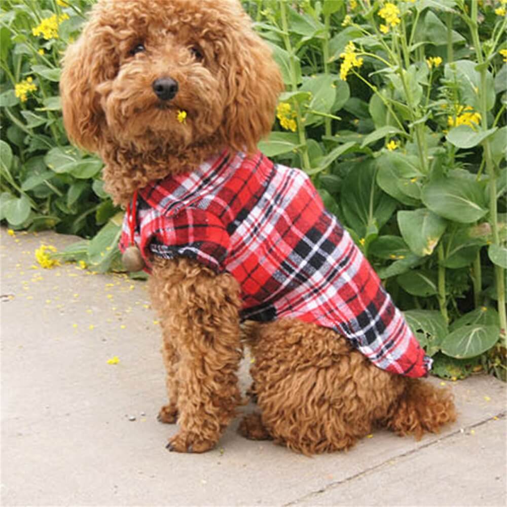 Classic Plaid Dog Shirt - Cosy and Stylish for Every Occasion