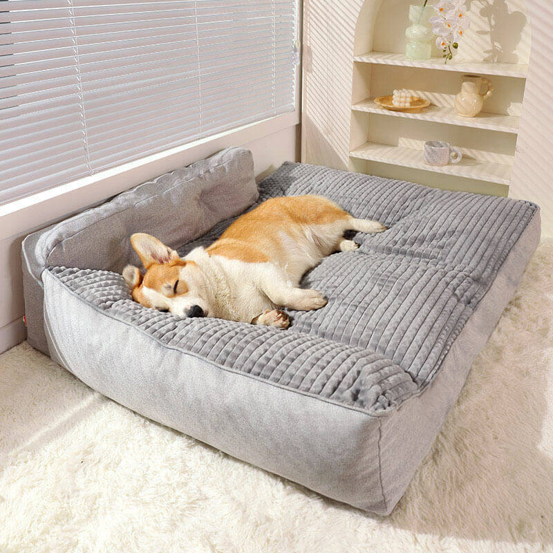 Grand lit d'oreiller lavable et épais pour chat et chien, toutes saisons