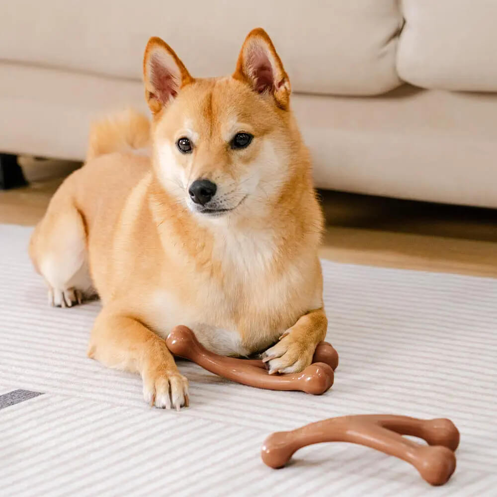 Teething Bones Dog Chew Toy - Bacon-Flavoured