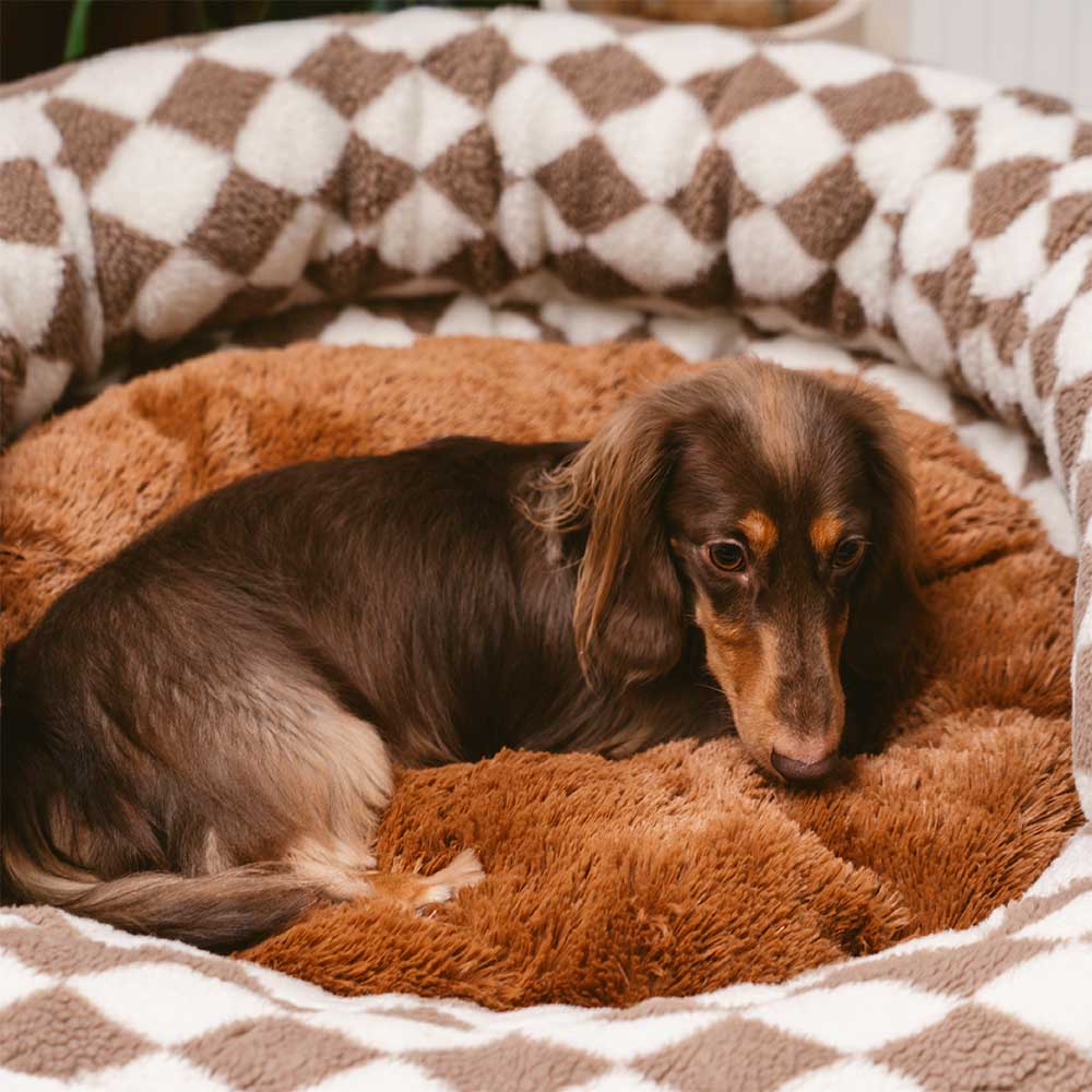 Classic Argyle Washable Bolster Donut Dog Bed - Cosy Haven