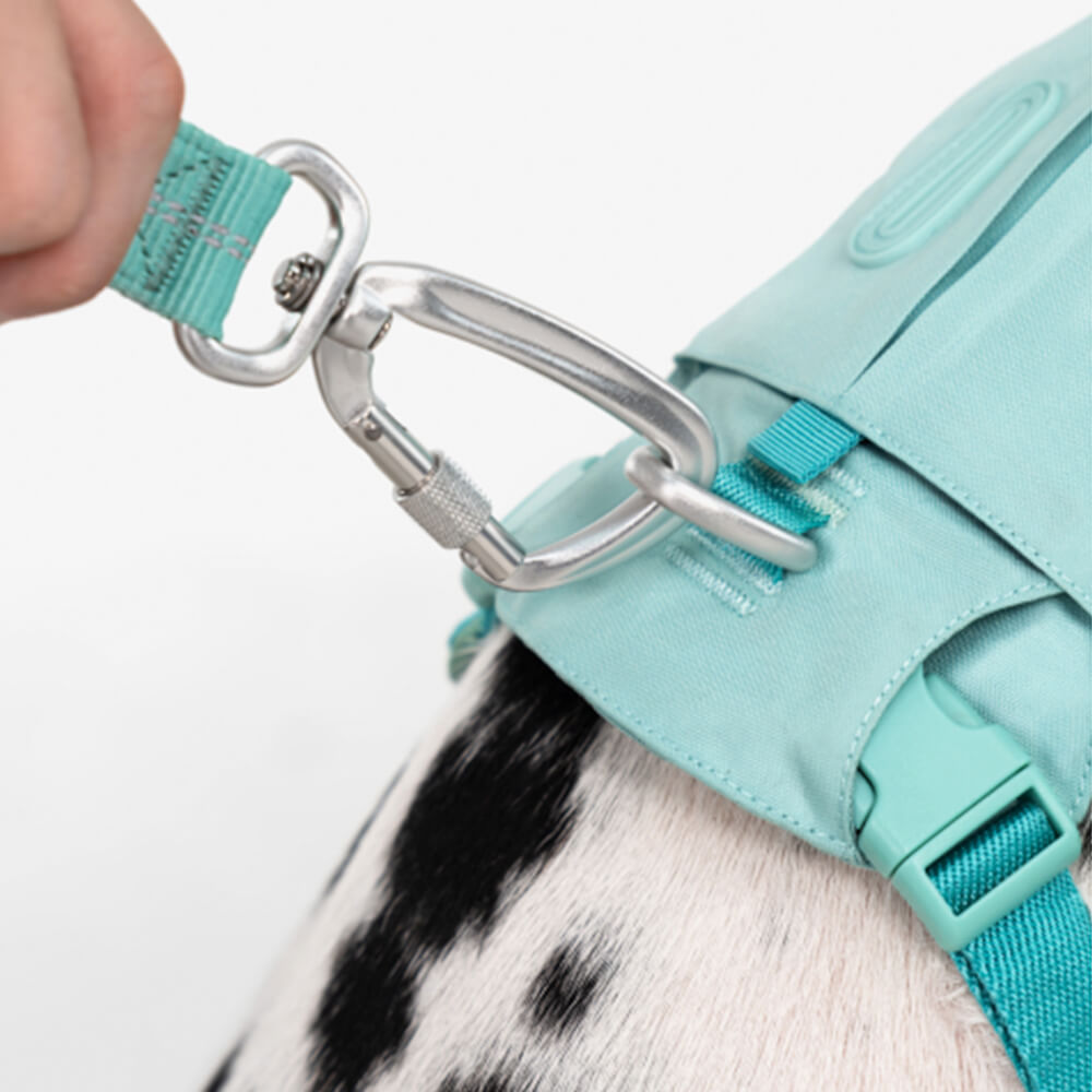 Adjustable Multi-Handle Dog Harness and Lead Kit