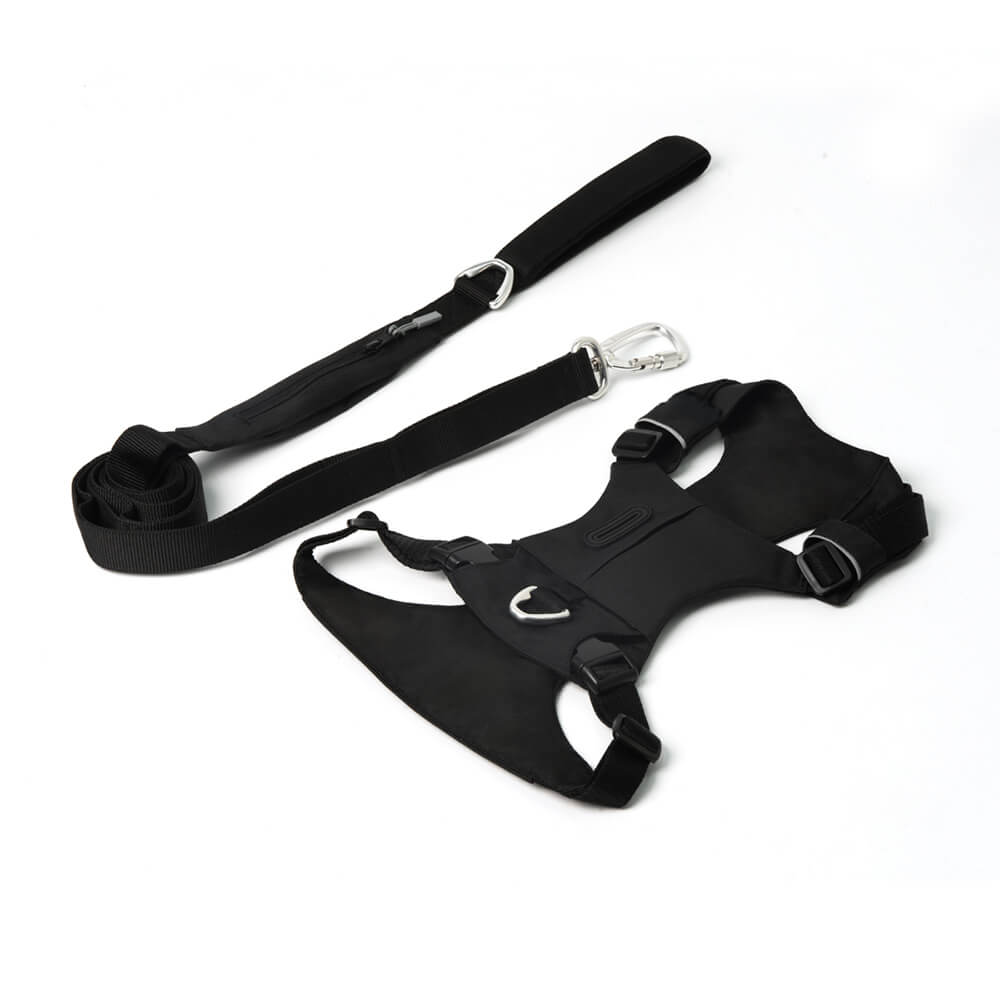 Adjustable Multi-Handle Dog Harness and Lead Kit