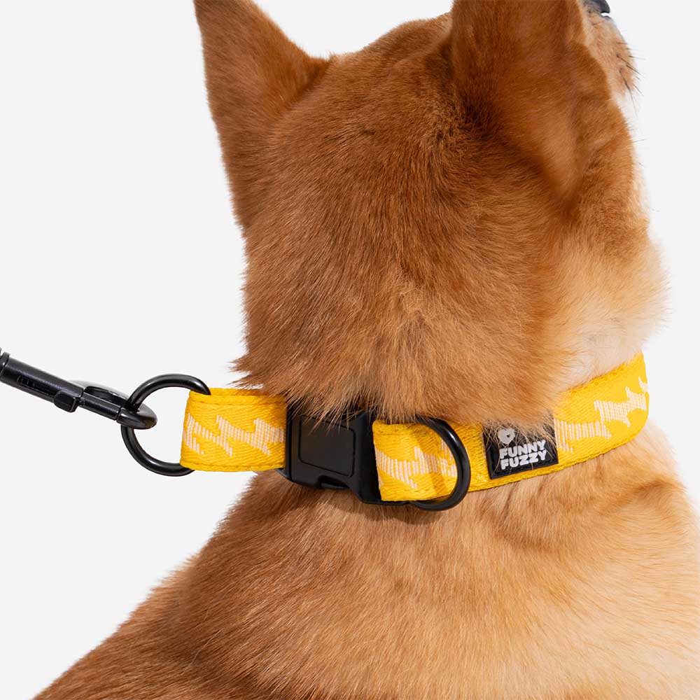 FUNNYFUZZY Adjustable Nylon Durable Dog Collar - Flexi Walker