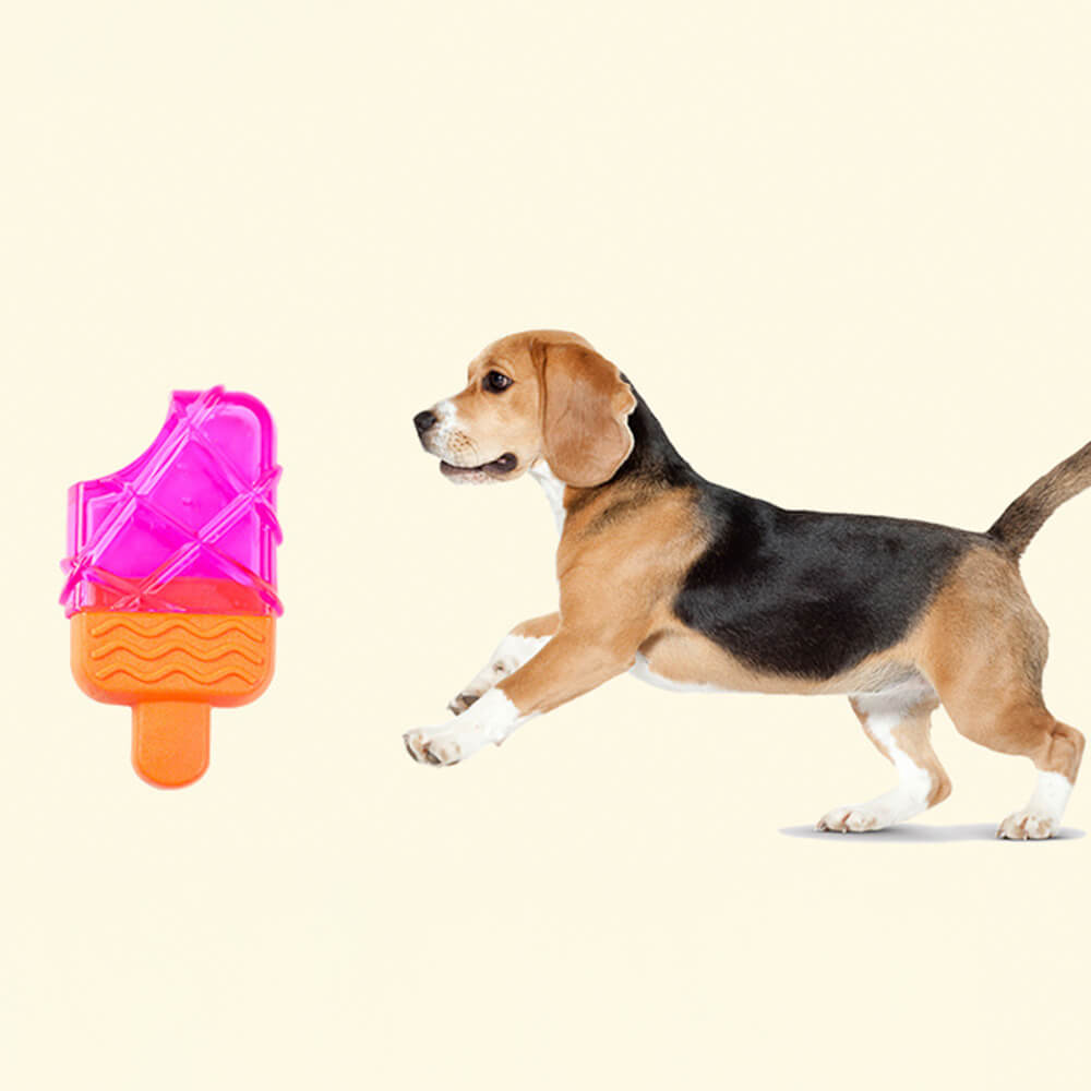 Freezable Popsicle Interactive Durable TPR Dog Toy