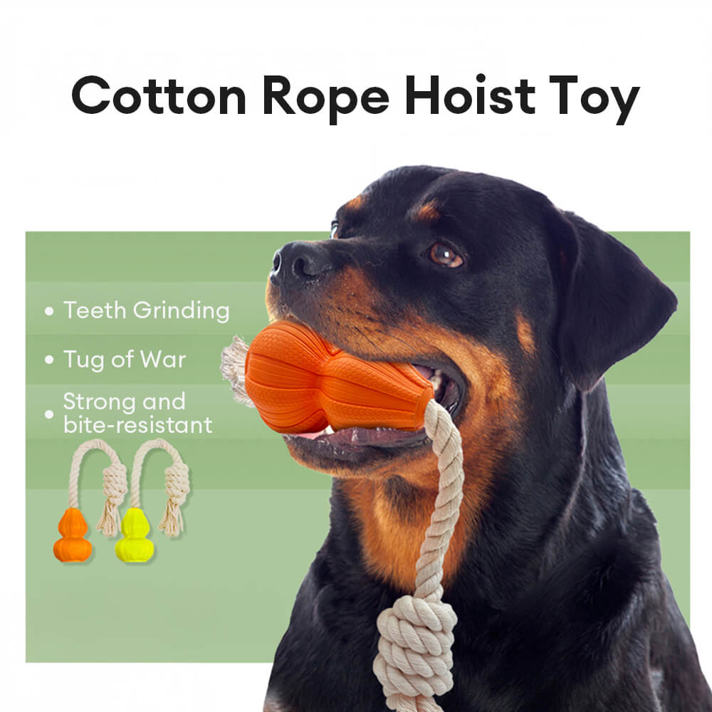 Durable Cotton Rope Interactive Tug Dog Toy