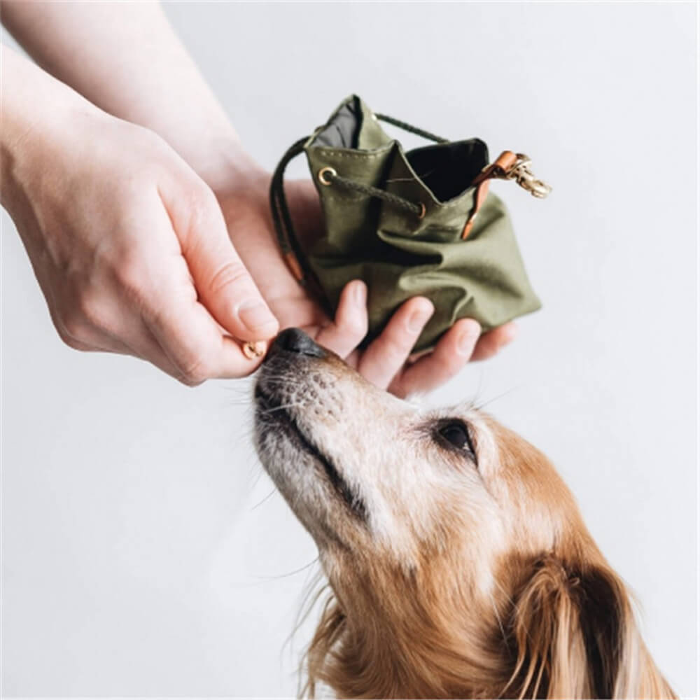 Waxed Canvas Faux Leather Outdoor Training Dog Treat Bag Waste Bag