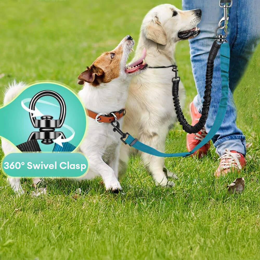 No-Tangle Shock Absorbing Double Lead Dog Lead