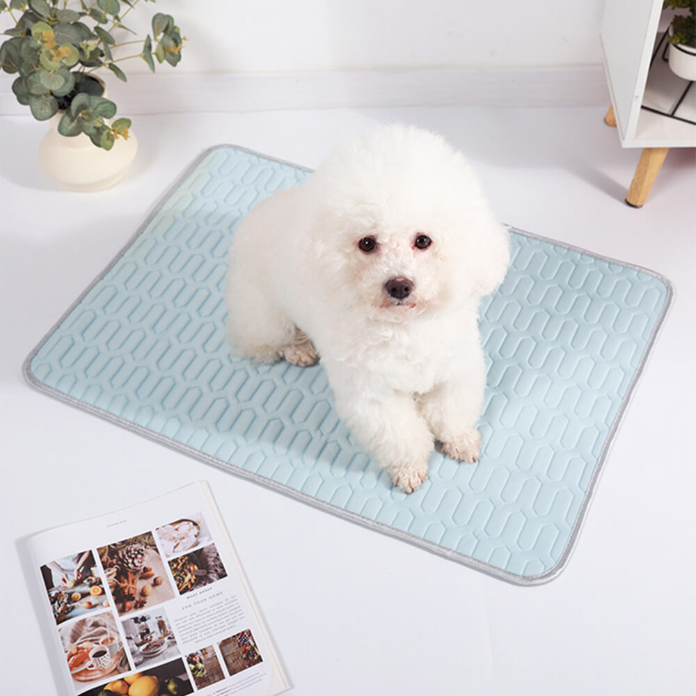 Cooling Washable Non-Slip Breathable Ice Silk Dog & Cat Mat