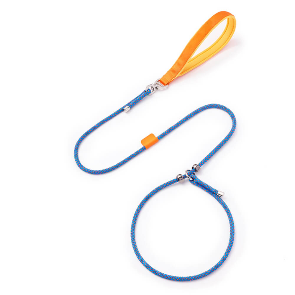 Durable No Pull Dog Training Lead Slip Lead with Padded Handle