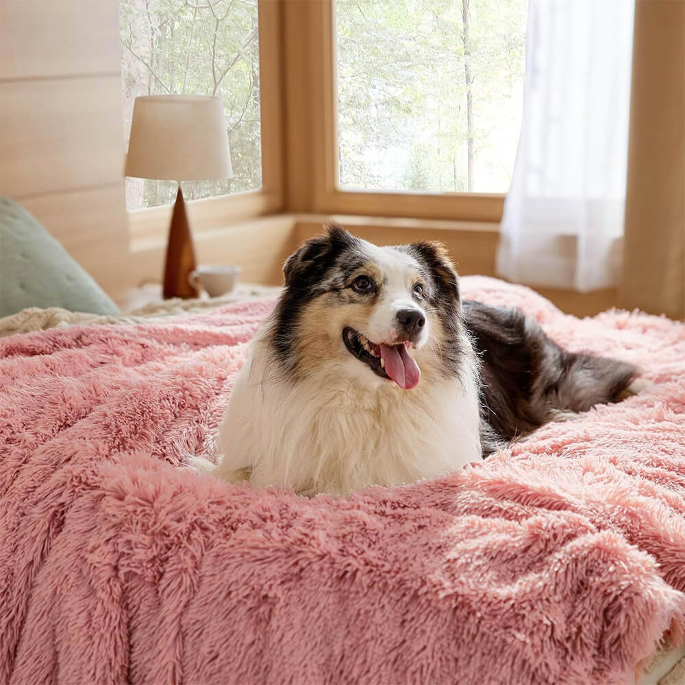 Luxurious Waterproof Plush Warm Multi-Purpose Home Dog Blanket