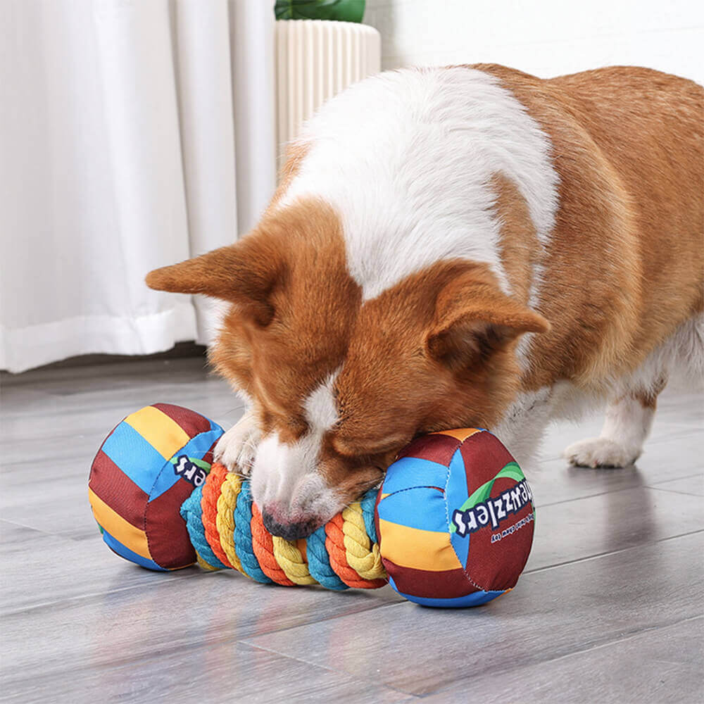 Rainbow Dumbbell Interactive Squeaky Durable Rope Dog Toy