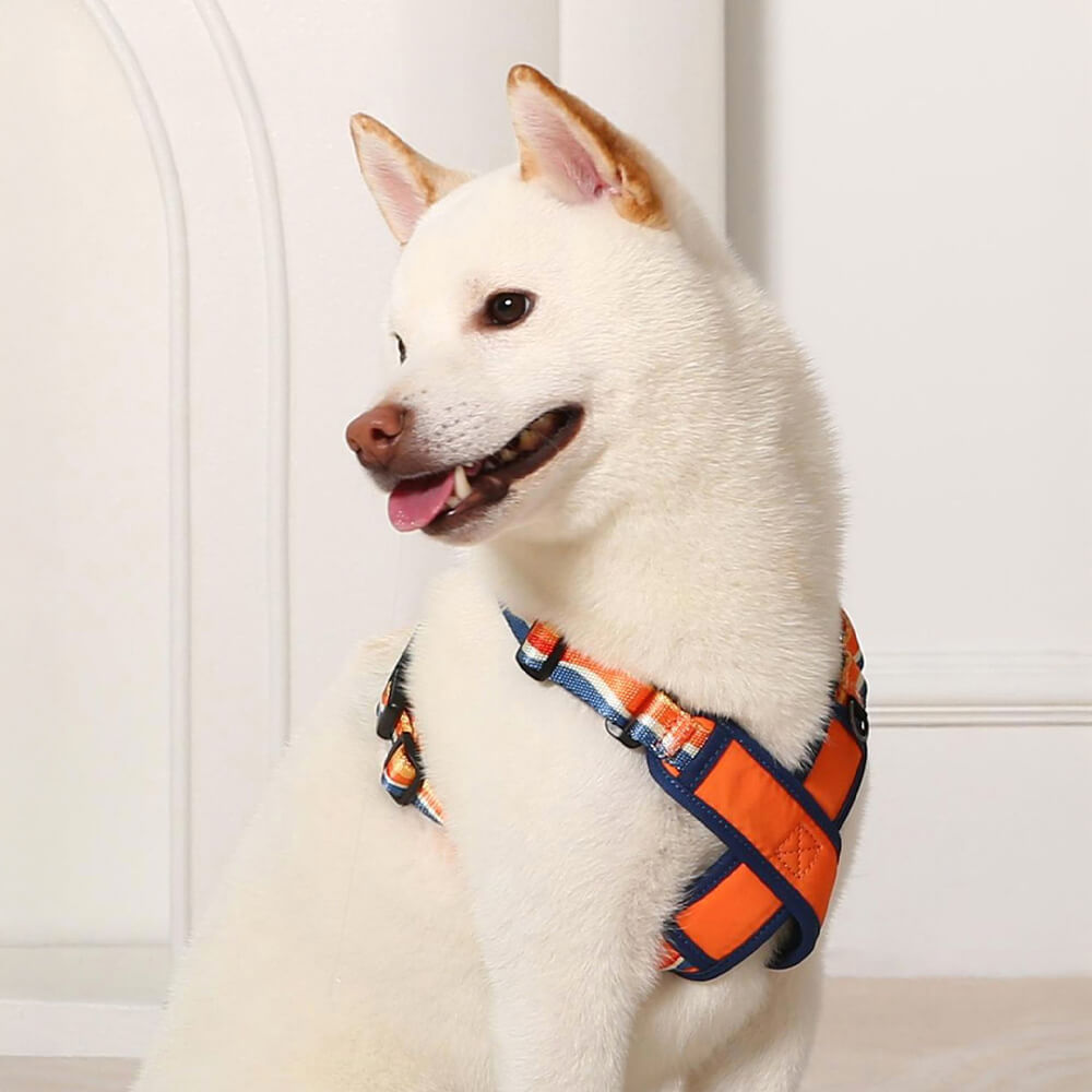 X-Shaped Adjustable Durable Dog Harness and Lead Kit