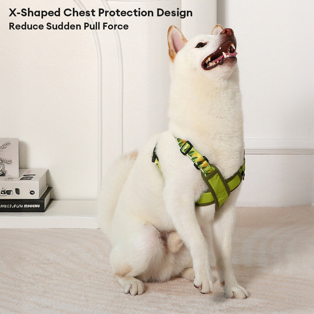 X-Shaped Adjustable Durable Dog Harness and Lead Kit