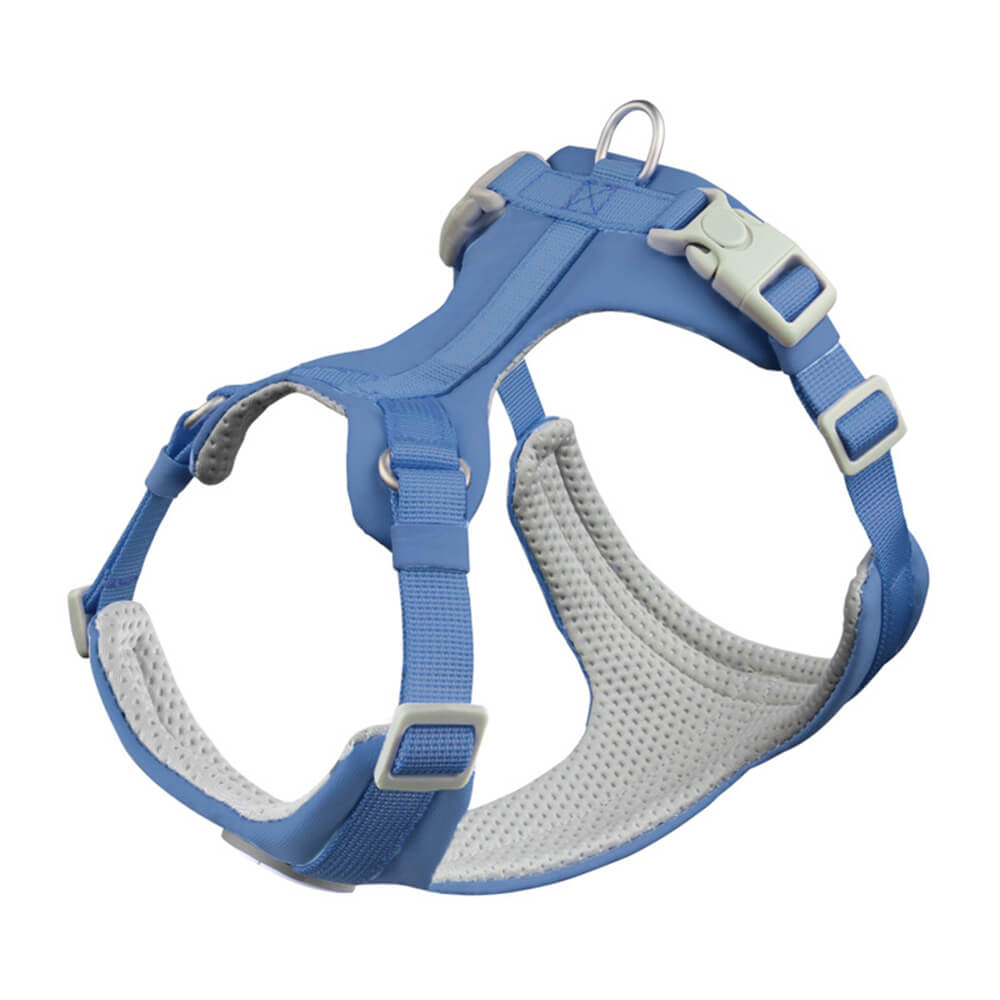 Complete Control Comfortable No-Pull Dog Harness and Lead Kit