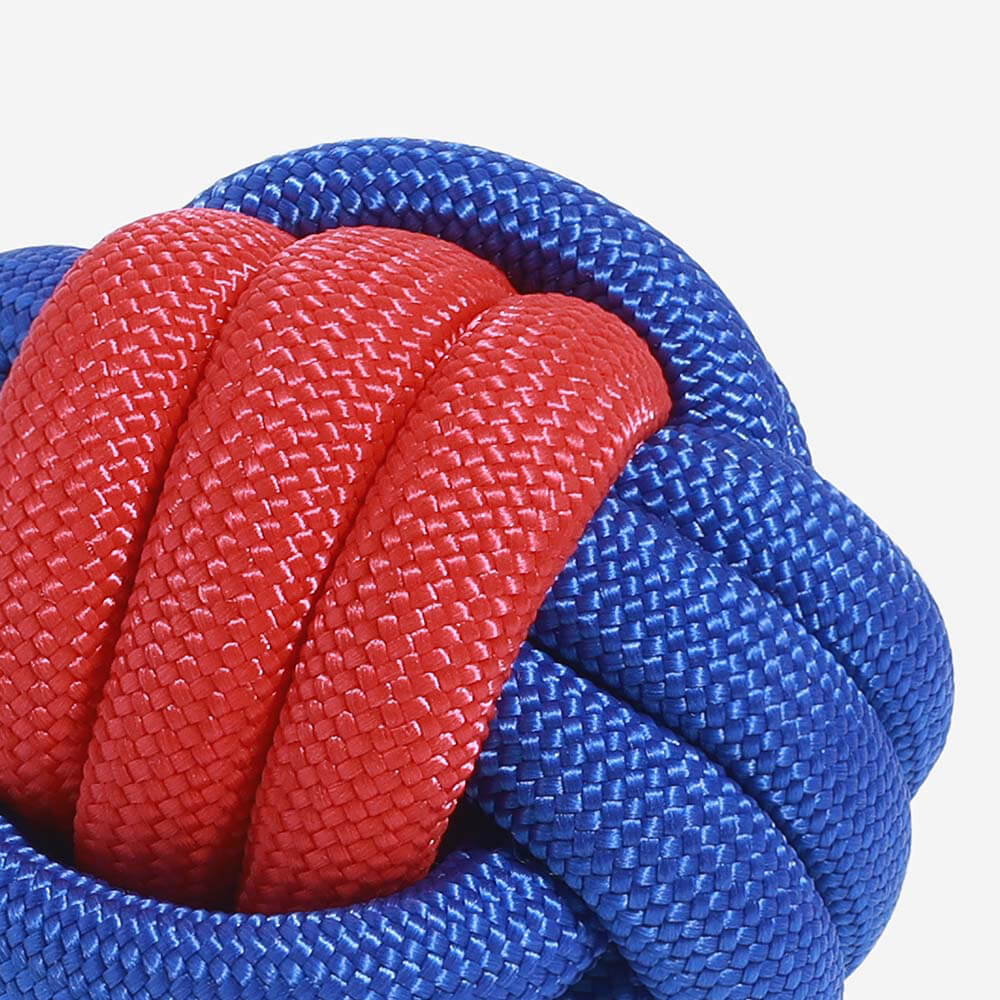 Knots Rope Dog Toy Set - Colour Clash