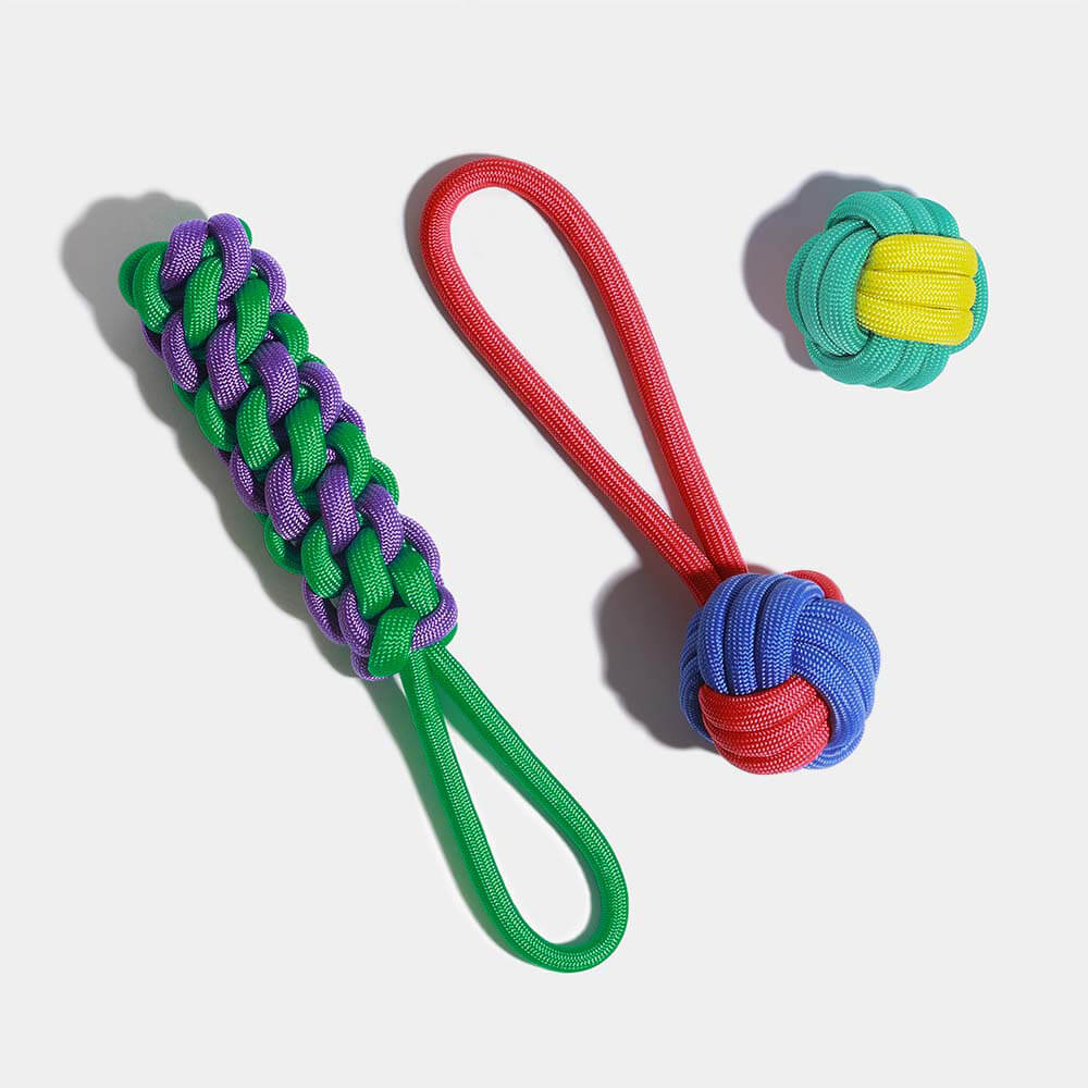 Knots Rope Dog Toy Set - Colour Clash