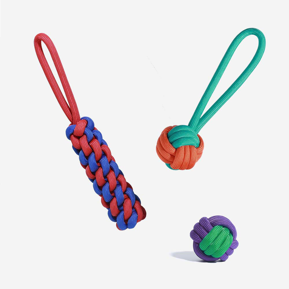 Knots Rope Dog Toy Set - Colour Clash