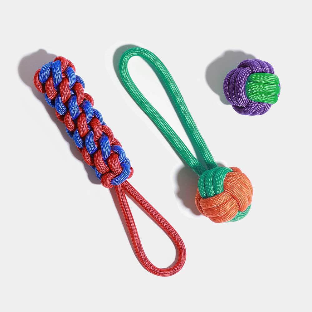 Knots Rope Dog Toy Set - Colour Clash