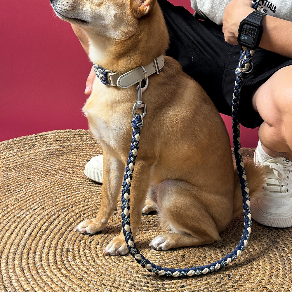 Hand-Woven Leather Multifunctional Anti-Pull Dog Collar and Lead Set