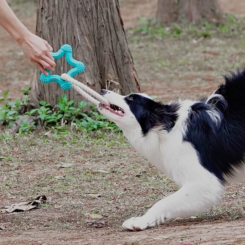 Interactive Tug-of-War Dog Toy Teeth Cleaning Rubber Chew Toy