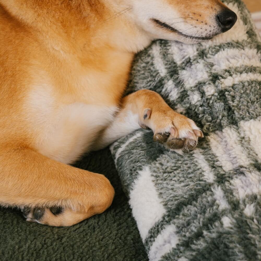 Vintage Chequered Washable Cosy Support Calming Dog & Cat Sofa Bed