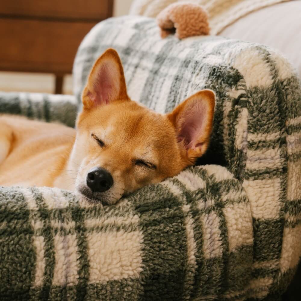 Vintage Chequered Washable Cosy Support Calming Dog & Cat Sofa Bed