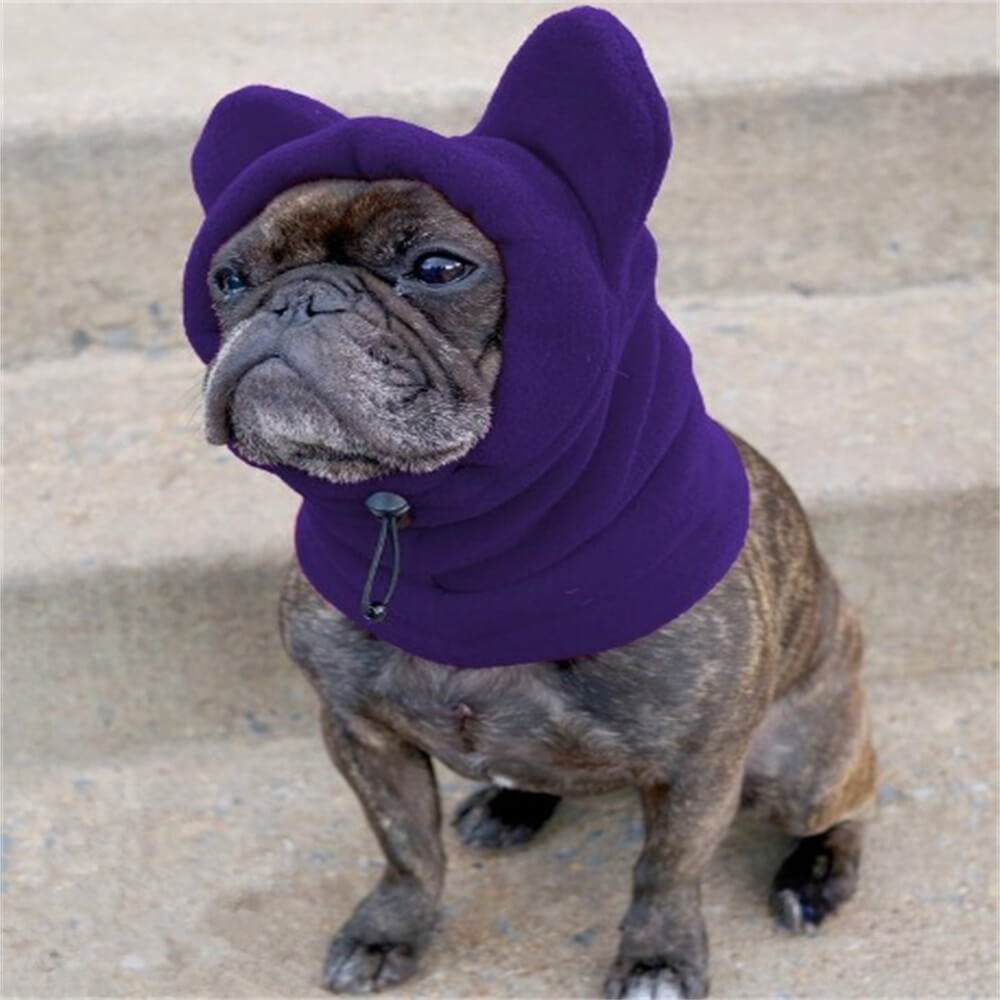 Fleece Dog Hood with Bear Ears – Fun and Cosy Winter Headwear